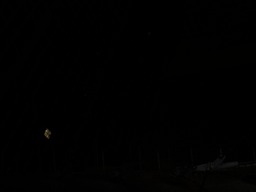 IMG_3677