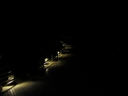 IMG_3753