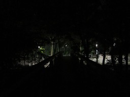IMG_3783
