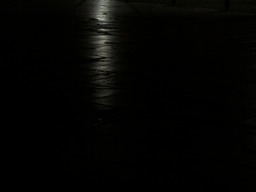 IMG_3801