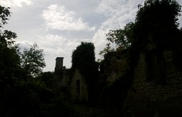 WP_20130616_065