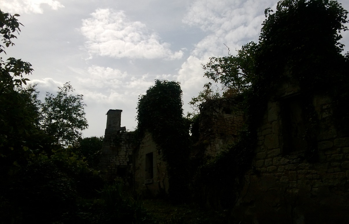 WP_20130616_065